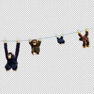 国产成人高清在线观看视频
