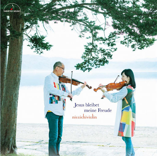 国产成人高清在线观看视频
